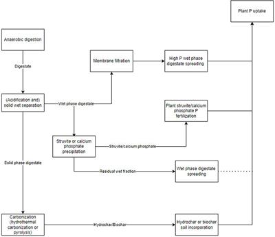 Phosphorus retention and agronomic efficiency of refined manure-based digestate—A review